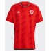 Maillot de foot Pays de Galles Domicile vêtements Monde 2022 Manches Courtes